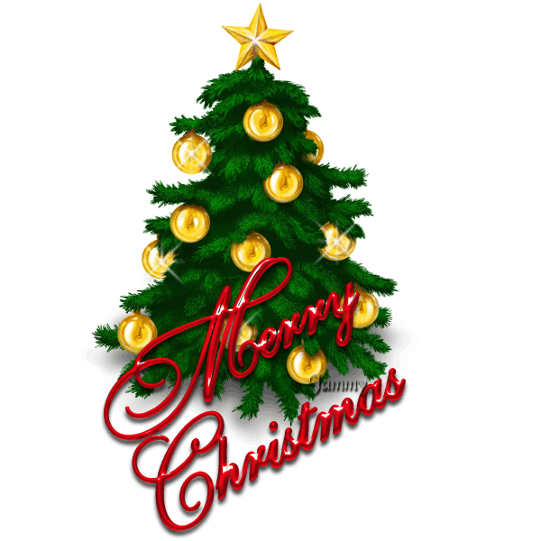 November 2, 2017 Shiro Kuma