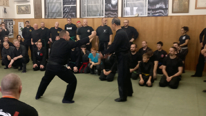 IMG_20181203_144937-ANIMATION